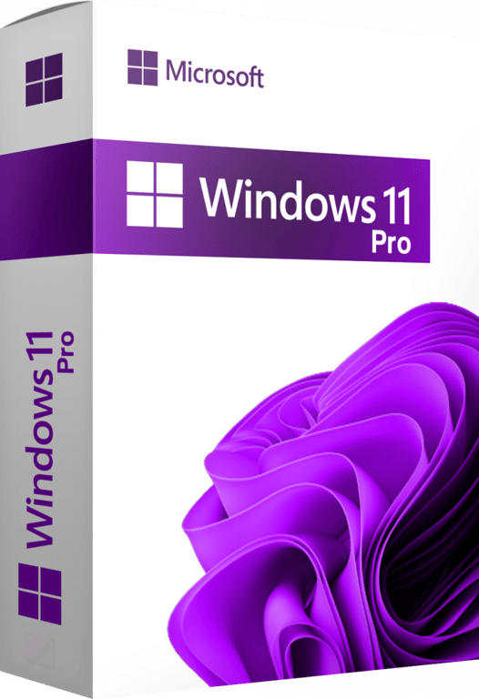 Windows 11 Pro