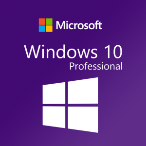 Windows 10 Professional