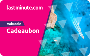 lastminute.com