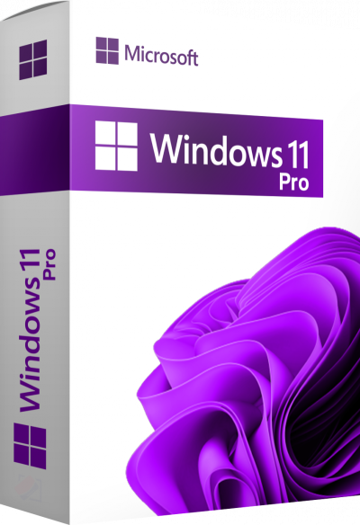 Windows 11 Pro