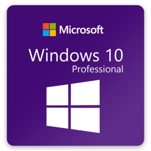 Windows 10 Professional
